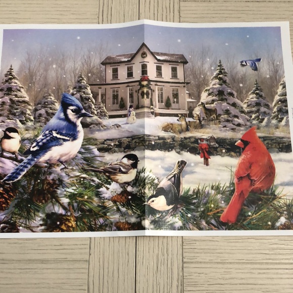 Country House Birds 1000 Piece Puzzle - Picture 6 of 8